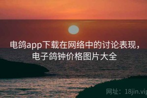 电鸽app下载在网络中的讨论表现，电子鸽钟价格图片大全