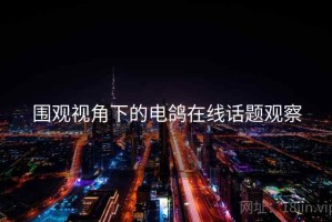 围观视角下的电鸽在线话题观察
