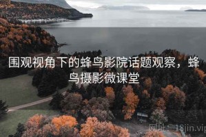 围观视角下的蜂鸟影院话题观察，蜂鸟摄影微课堂