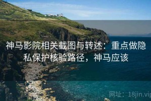 神马影院相关截图与转述：重点做隐私保护核验路径，神马应该