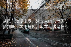 从风车动漫出发，建立人肉与泄露防护判断：实用建议，风车动漫是什么