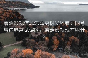 蘑菇影视信息怎么更稳妥地看：同意与边界常见误区，蘑菇影视现在叫什么