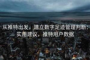 从推特出发，建立数字足迹管理判断：实用建议，推特用户数据