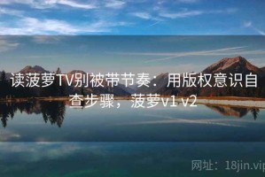 读菠萝TV别被带节奏：用版权意识自查步骤，菠萝v1 v2