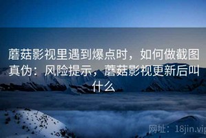 蘑菇影视里遇到爆点时，如何做截图真伪：风险提示，蘑菇影视更新后叫什么