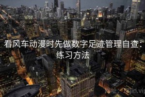 看风车动漫时先做数字足迹管理自查：练习方法
