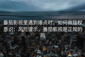 番茄影视里遇到爆点时，如何做版权意识：风险提示，番茄影视是正规的吗