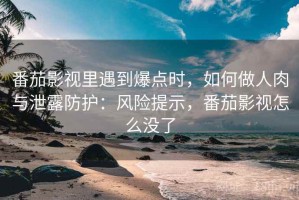 番茄影视里遇到爆点时，如何做人肉与泄露防护：风险提示，番茄影视怎么没了