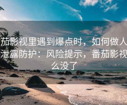 番茄影视里遇到爆点时，如何做人肉与泄露防护：风险提示，番茄影视怎么没了