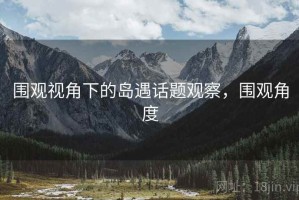 围观视角下的岛遇话题观察，围观角度