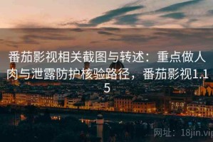 番茄影视相关截图与转述：重点做人肉与泄露防护核验路径，番茄影视1.15