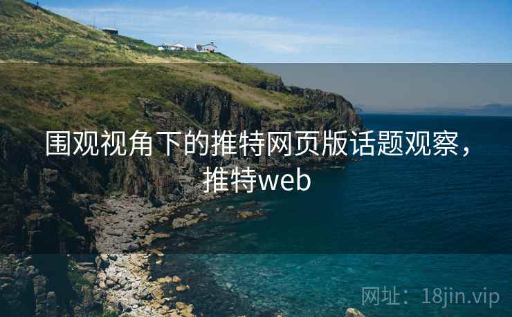 围观视角下的推特网页版话题观察，推特web