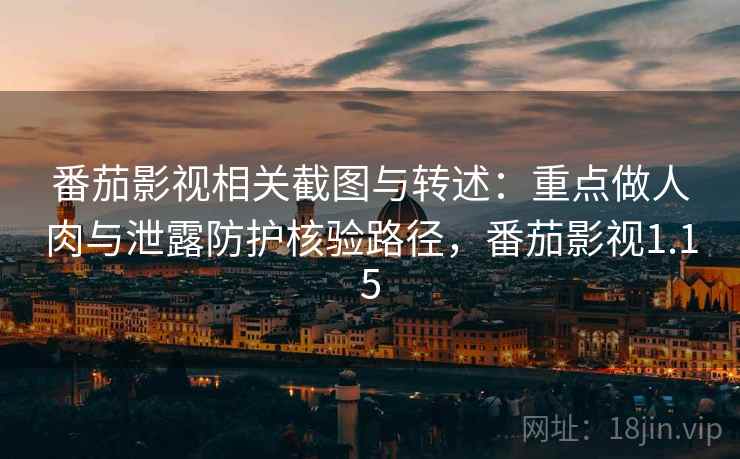 番茄影视相关截图与转述：重点做人肉与泄露防护核验路径，番茄影视1.15