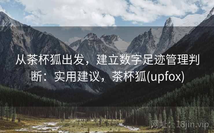 从茶杯狐出发，建立数字足迹管理判断：实用建议，茶杯狐(upfox)